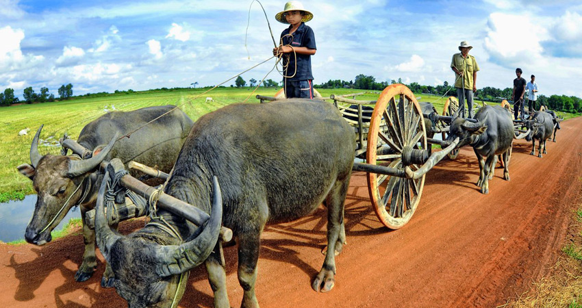 An Introduction to the Khmer culture tour