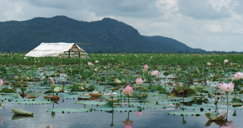 Kamping Puoy Lake
