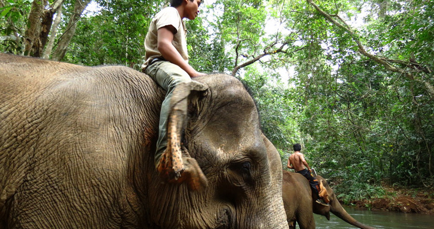 Excursion to Mondulkiri tour 5Days