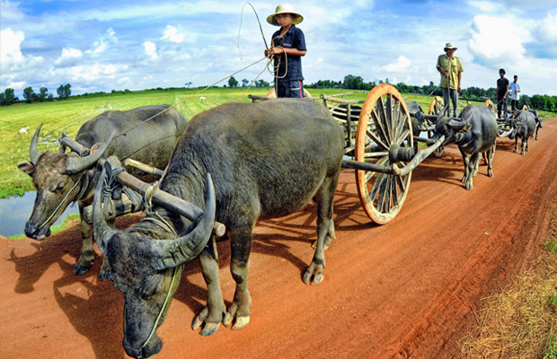 An Introduction to the Khmer culture tour