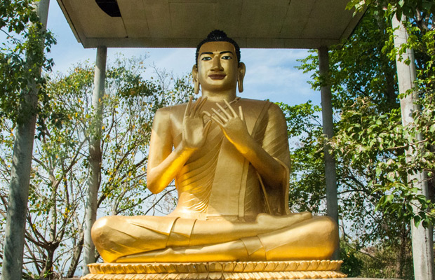 Gold Buddha Hill