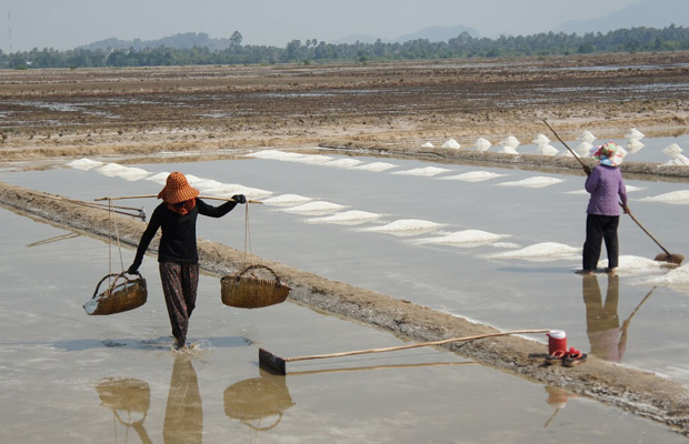 Salt Manufacturing Kep