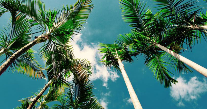 Tonle Tropic Boutique Hotel